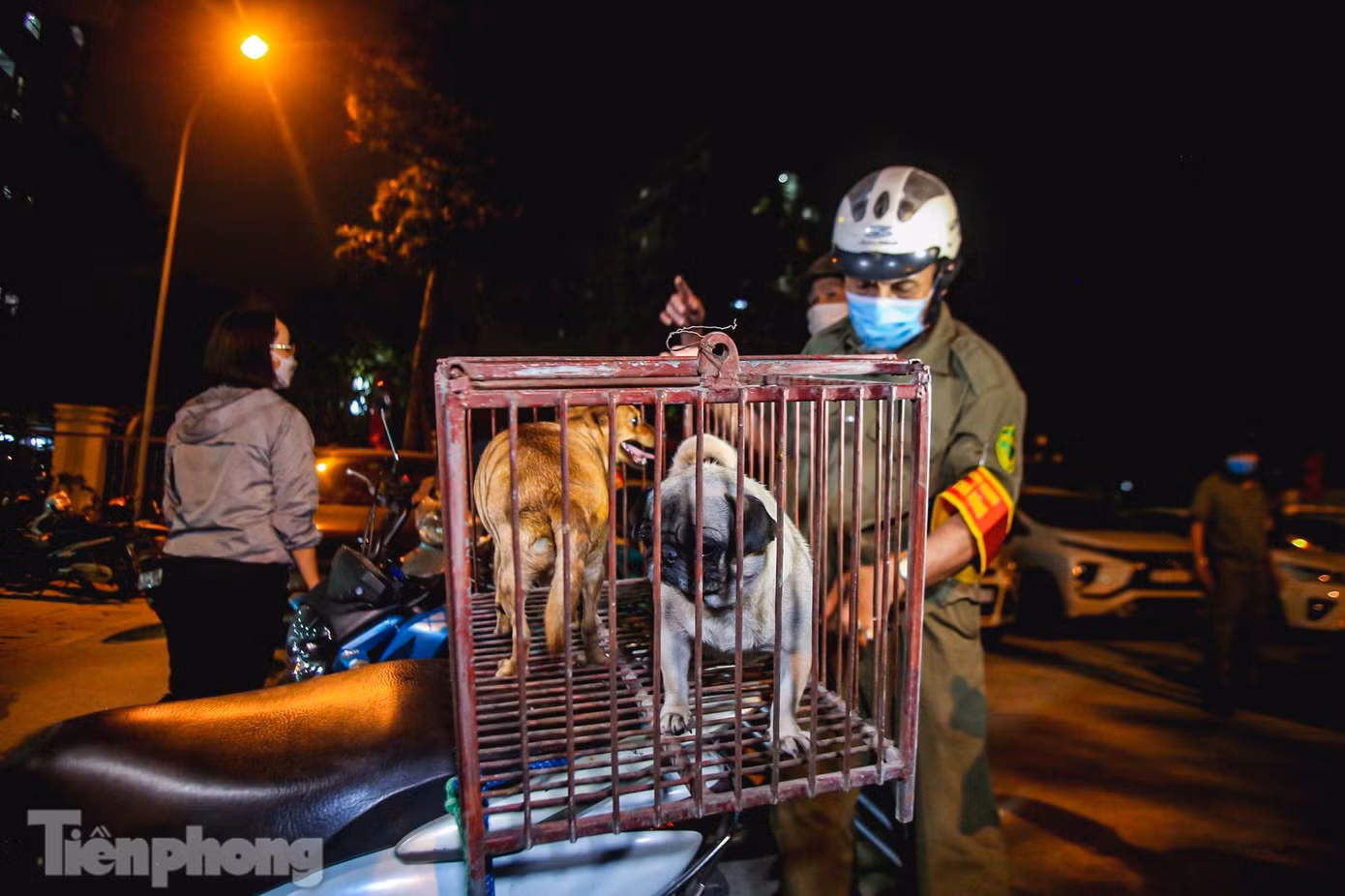 Bà Đào Thị Thanh Tâm - Phó chủ tịch UBND phường Kim Giang thông tin, phường Kim Giang là 1 trong 2 phường đầu tiên trên địa bàn Hà Nội thành lập đội bắt chó thả rông, đội gồm 7 thành viên. Bà Đào Thị Thanh Tâm - Phó chủ tịch UBND phường Kim Giang thông tin, phường Kim Giang là 1 trong 2 phường đầu tiên trên địa bàn Hà Nội thành lập đội bắt chó thả rông, đội gồm 7 thành viên.
