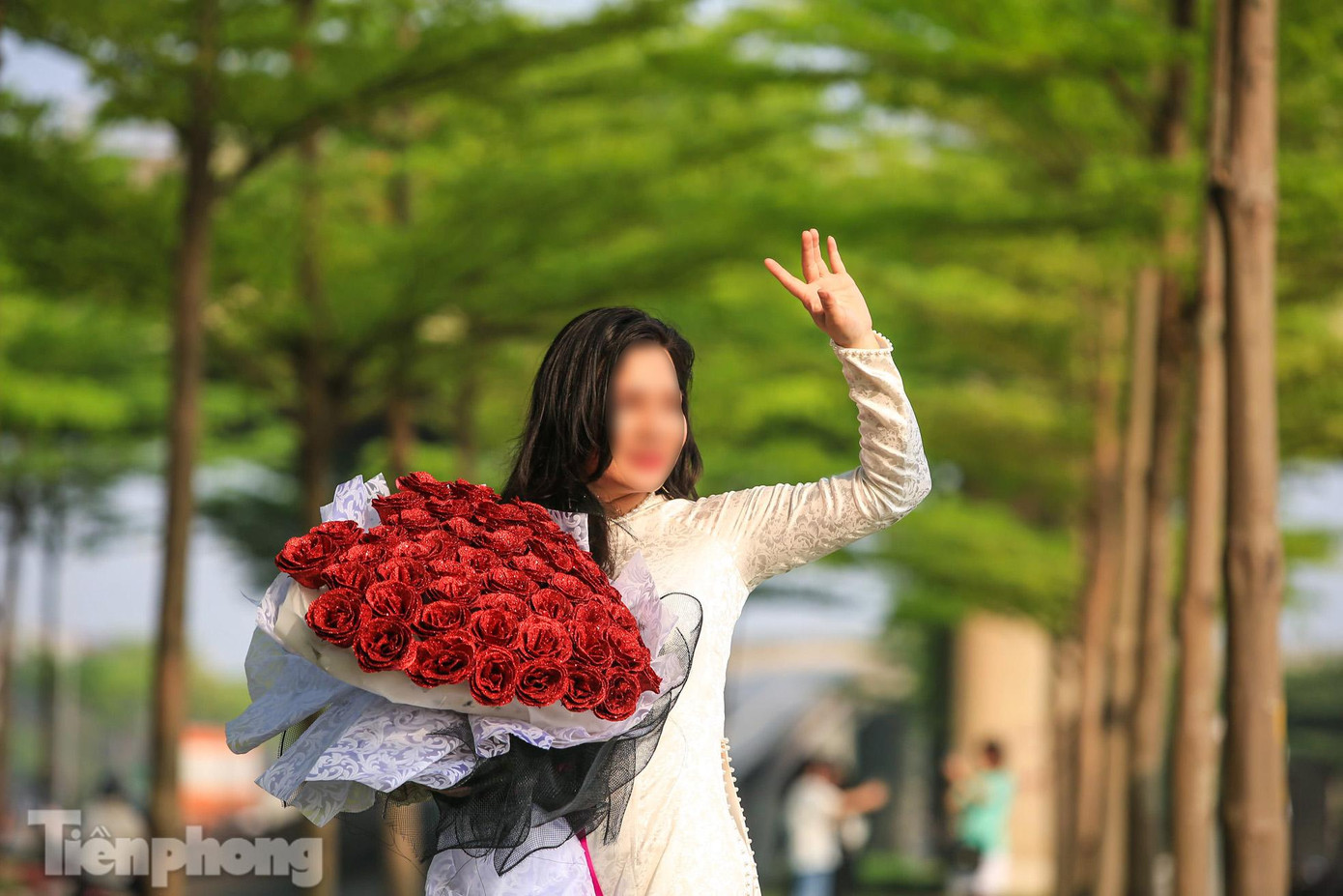 Bàng lá nhỏ (cây bàng Đài Loan) được trồng cách đây vài năm tại nhiều địa điểm của Hà Nội và thu hút được nhiều người dân Thủ đô đến mỗi khi chuyển mùa.