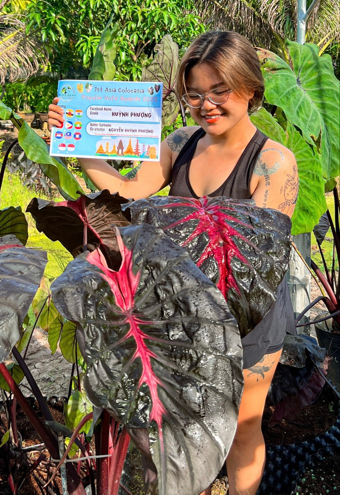Phượng cầm giấy chứng nhận đạt giải lai tạo trong một cuộc thi tại Thái Lan (Ảnh: NVCC) Phượng cầm giấy chứng nhận đạt giải lai tạo trong một cuộc thi tại Thái Lan (Ảnh: NVCC)