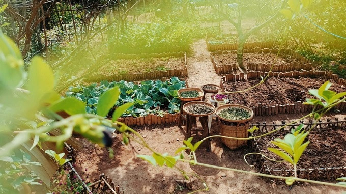 Dù mức lương thấp hơn nhiều, người trẻ vẫn chọn về quê để sống cân bằng (Ảnh minh họa). Dù mức lương thấp hơn nhiều, người trẻ vẫn chọn về quê để sống cân bằng (Ảnh minh họa).