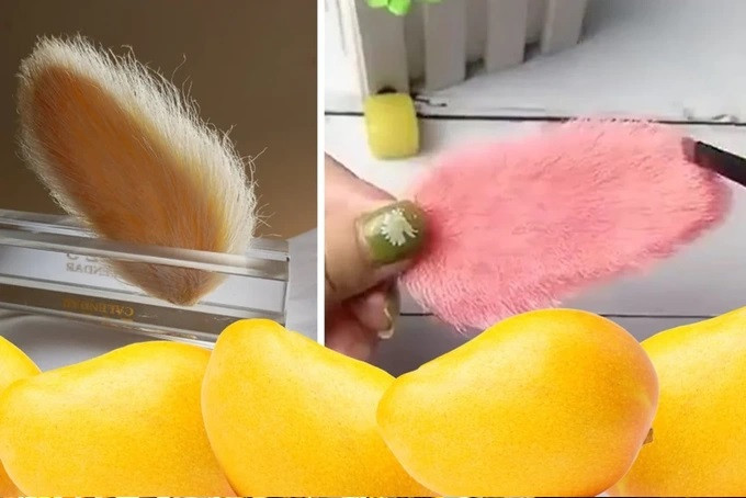 Nhiều người trẻ tuổi ở Trung Quốc chăm sóc những hạt xoài như thú cưng (Ảnh: ST Headline).