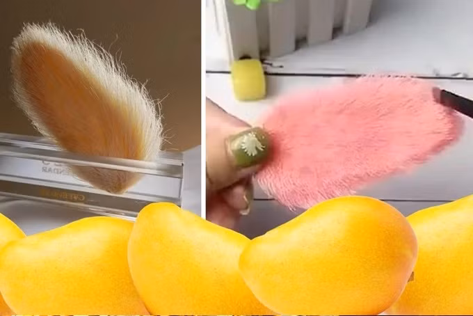 Nhiều người trẻ tuổi ở Trung Quốc chăm sóc những hạt xoài như thú cưng (Ảnh: ST Headline).