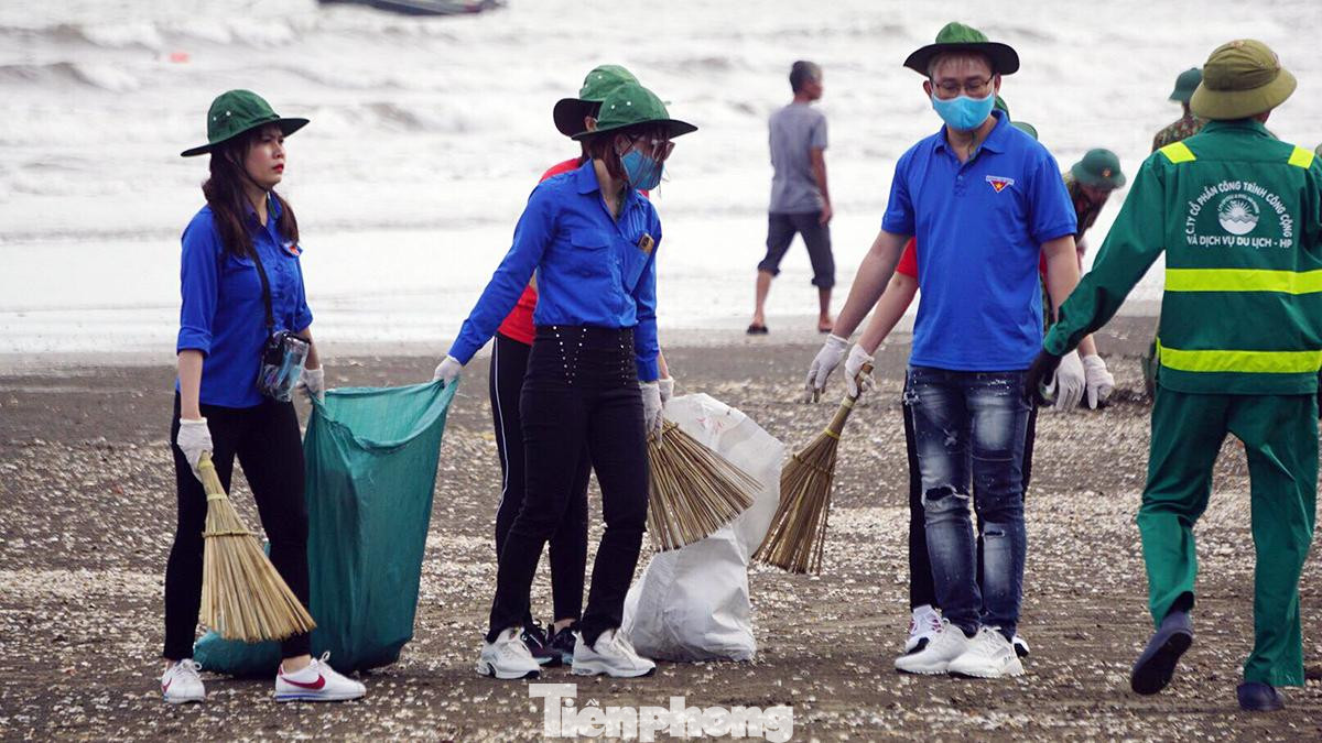 Ngoài hoạt động chuyên môn, Cung VHTT Thanh niên và Cung Thiếu nhi Hải Phòng cũng thường xuyên phối hợp với Thành đoàn, các đơn vị sự nghiệp khác tổ chức những hoạt động thanh niên như: vệ sinh bờ biển, xây dựng công trình thanh thiếu nhi trên địa bàn thành phố.