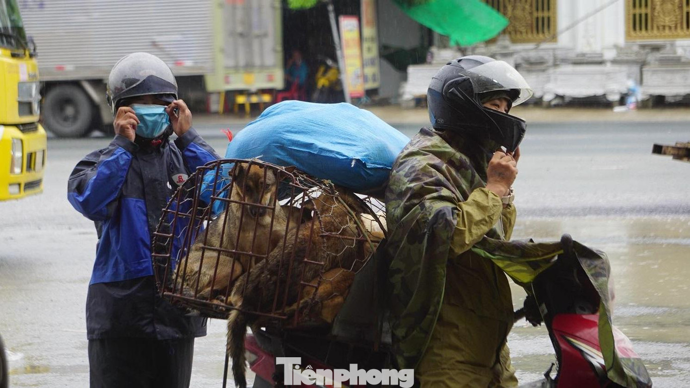 Ngày đầu thực hiện không kiểm soát giấy xét nghiệm SARS-CoV-2, tại chốt kiểm soát cầu Nghìn trên QL10, rất nhiều người dân tỉnh Thái Bình, Nam Định di chuyển vào thành phố Hải Phòng.