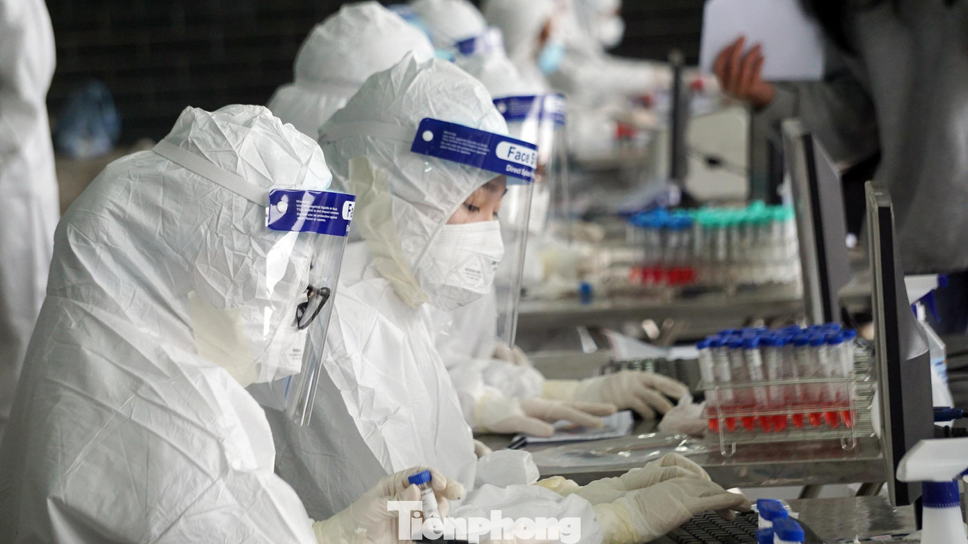 TP Hải Phòng yêu cầu Sở Y tế quy trách nhiệm cá nhân, tổ chức trong công tác lấy mẫu xét nghiệm.