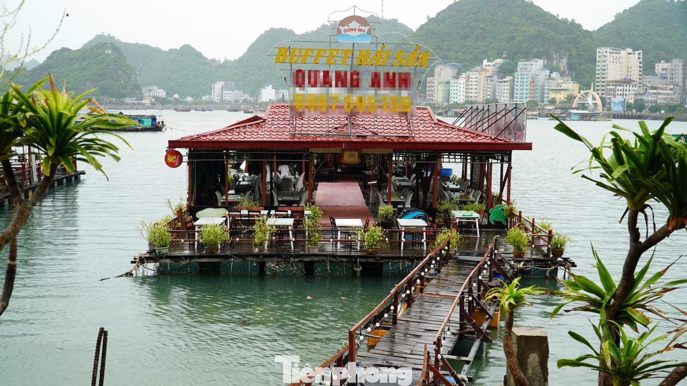Chủ các nhà hàng nổi tại thị trấn Cát Bà đã di tản nhân viên lên bờ tránh bão.