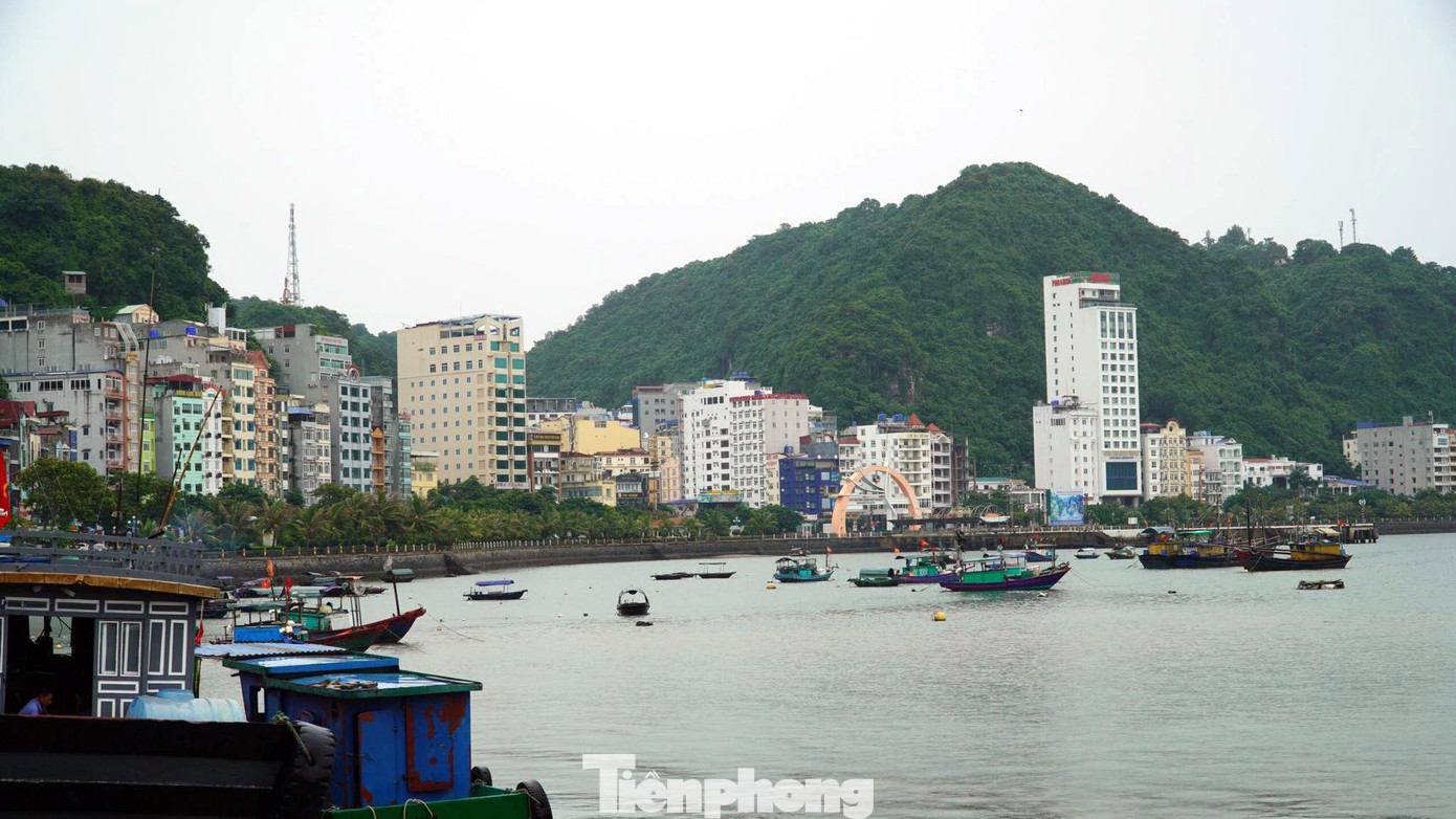 Trước diễn biến cơn bão số 7 mạnh lên, kèm theo mưa gió lớn, ngày 9/10 TP Hải Phòng đã đình chỉ hoạt động giao thông vận tải đường thủy nội địa, phà sông, phà biển, cáp treo Cát Hải – Phù Long, các hoạt động vui chơi giải trí trên các khu vực biển đảo, ven sông… nhằm đảm bảo an toàn về người và tài sản.