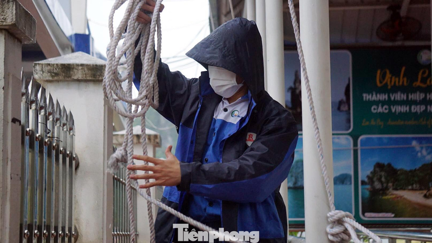 Ban quản lý bến tàu khách Cái Bèo (thị trấn Cát Bà) cho biết, đến 14h ngày 9/10 đơn vị đã đưa toàn bộ du khách tham quan trên các vịnh trở về thị trấn. Đồng thời, yêu cầu nhân viên chằng buộc mái che chống gió bão.