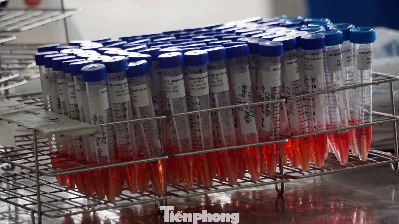 CDC Hải Dương đã lấy mẫu xét nghiệm F1, F2 liên quan 2 trường hợp nghi ngờ dương tính SARS-CoV-2.