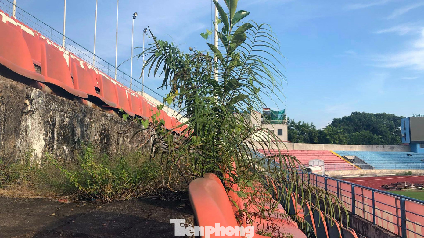 Tuy nhiên, sau gần 3 tháng dự án được phê duyệt, các hạng mục sử dụng ngân sách thành phố chưa được triển khai. Nhiều điểm trên khán đài, cỏ và hoa dại mọc um tùm.