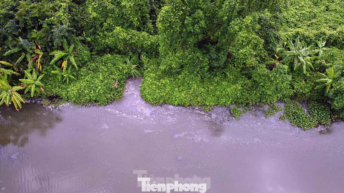 Vị trí cống của trang trại chăn nuôi xả thải ra sông Họng (phường Ngọc Xuyên, quận Đồ Sơn).