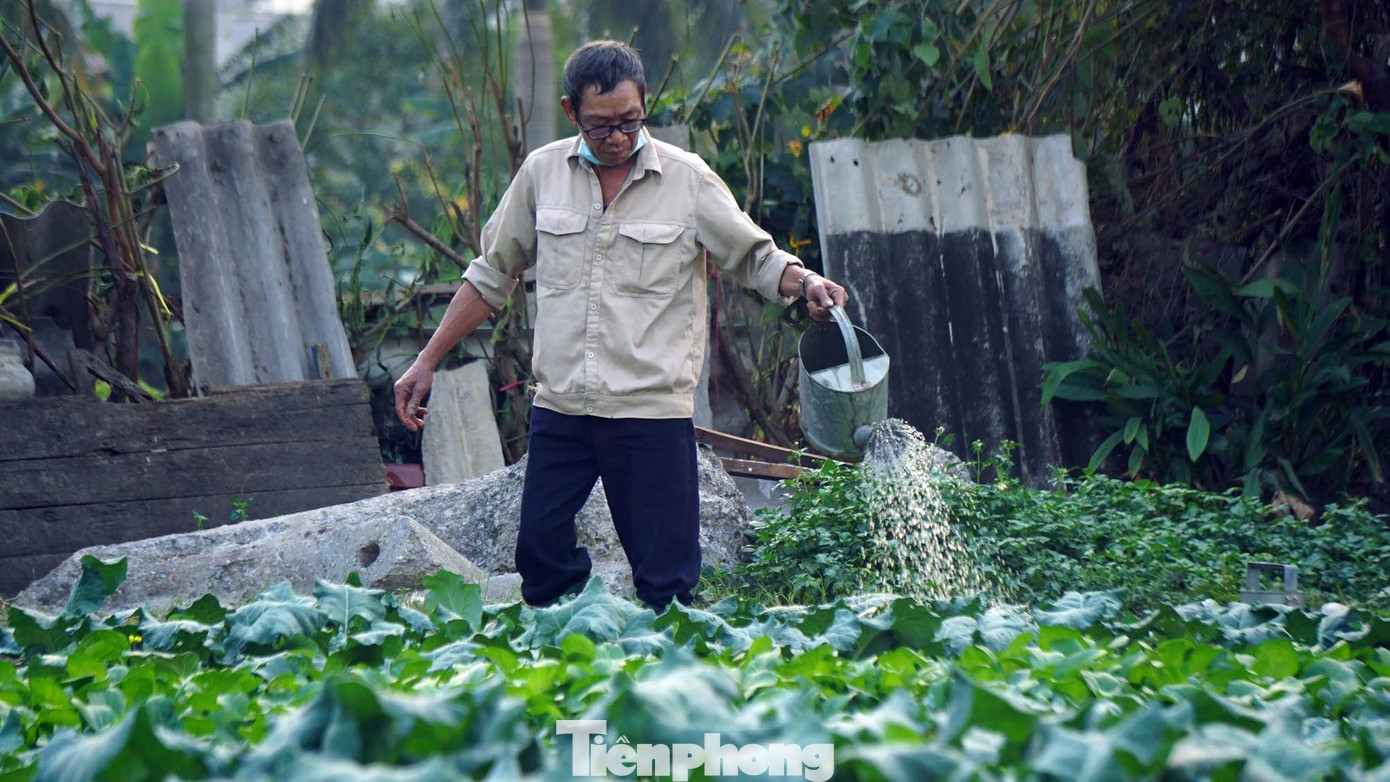 Ông Thông (58 tuổi) cho biết, dự án treo gần 15 năm không triển khai. Đất ruộng bỏ hoang nên ông và một số hộ dân tận dụng trồng rau xanh phục vụ sinh hoạt gia đình. Ông Thông (58 tuổi) cho biết, dự án treo gần 15 năm không triển khai. Đất ruộng bỏ hoang nên ông và một số hộ dân tận dụng trồng rau xanh phục vụ sinh hoạt gia đình.
