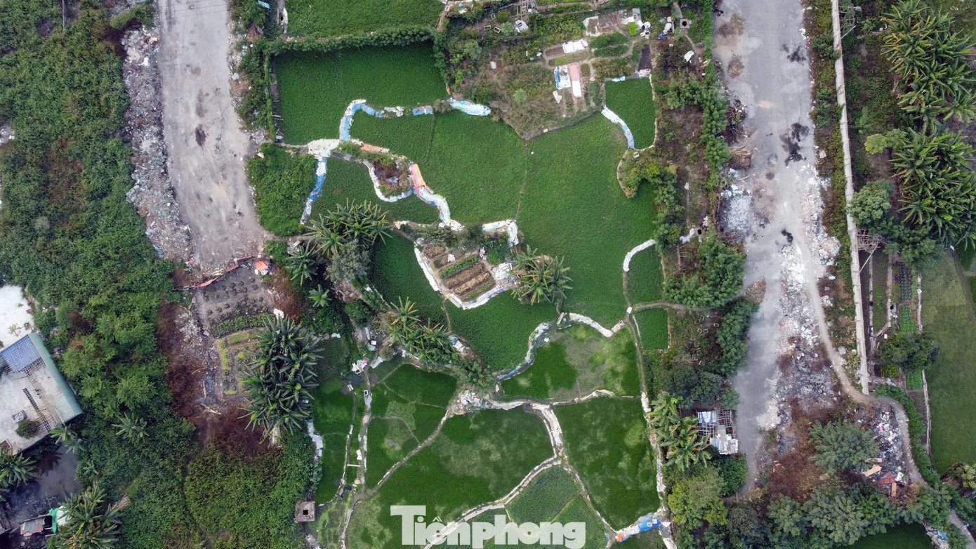 Người dân địa phương cũng tận dụng một số khu đất nông nghiệp đã được thu hồi nhưng chưa sử dụng, làm đường để trồng rau. Người dân địa phương cũng tận dụng một số khu đất nông nghiệp đã được thu hồi nhưng chưa sử dụng, làm đường để trồng rau.