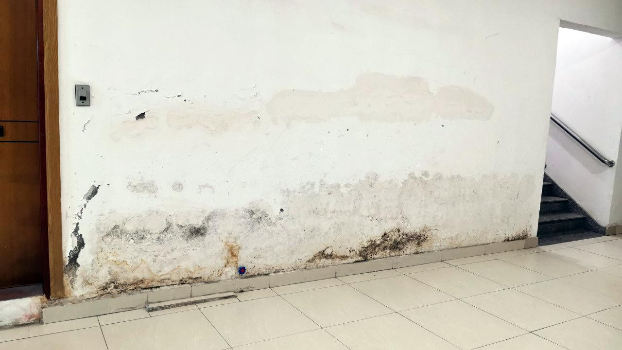 Tường nhiều căn hộ tại tòa TD Plaza Hải Phòng bong tróc, xuống cấp.