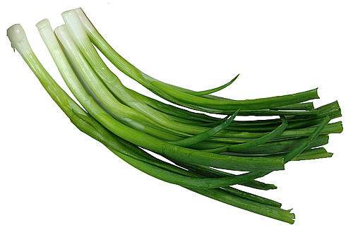 Hành tươi