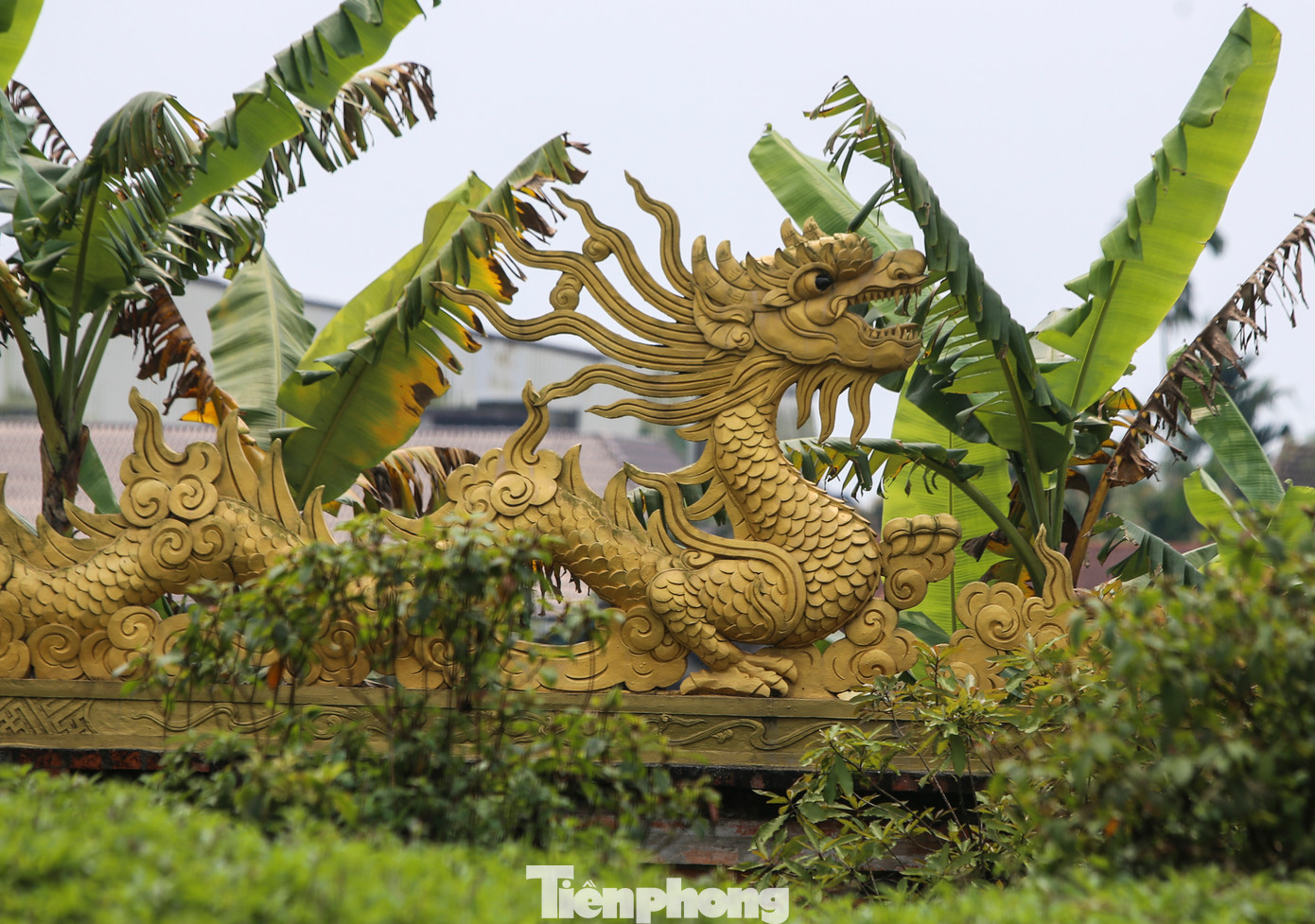 Nghĩa Trủng đàn là một lời khẳng định cho đạo lý, truyền thống cao đẹp uống nước nhớ nguồn của người Việt, đồng thời là di tích đặc biệt nên ghé đến mỗi khi ghé thăm vùng đất thiêng Quảng Trị.