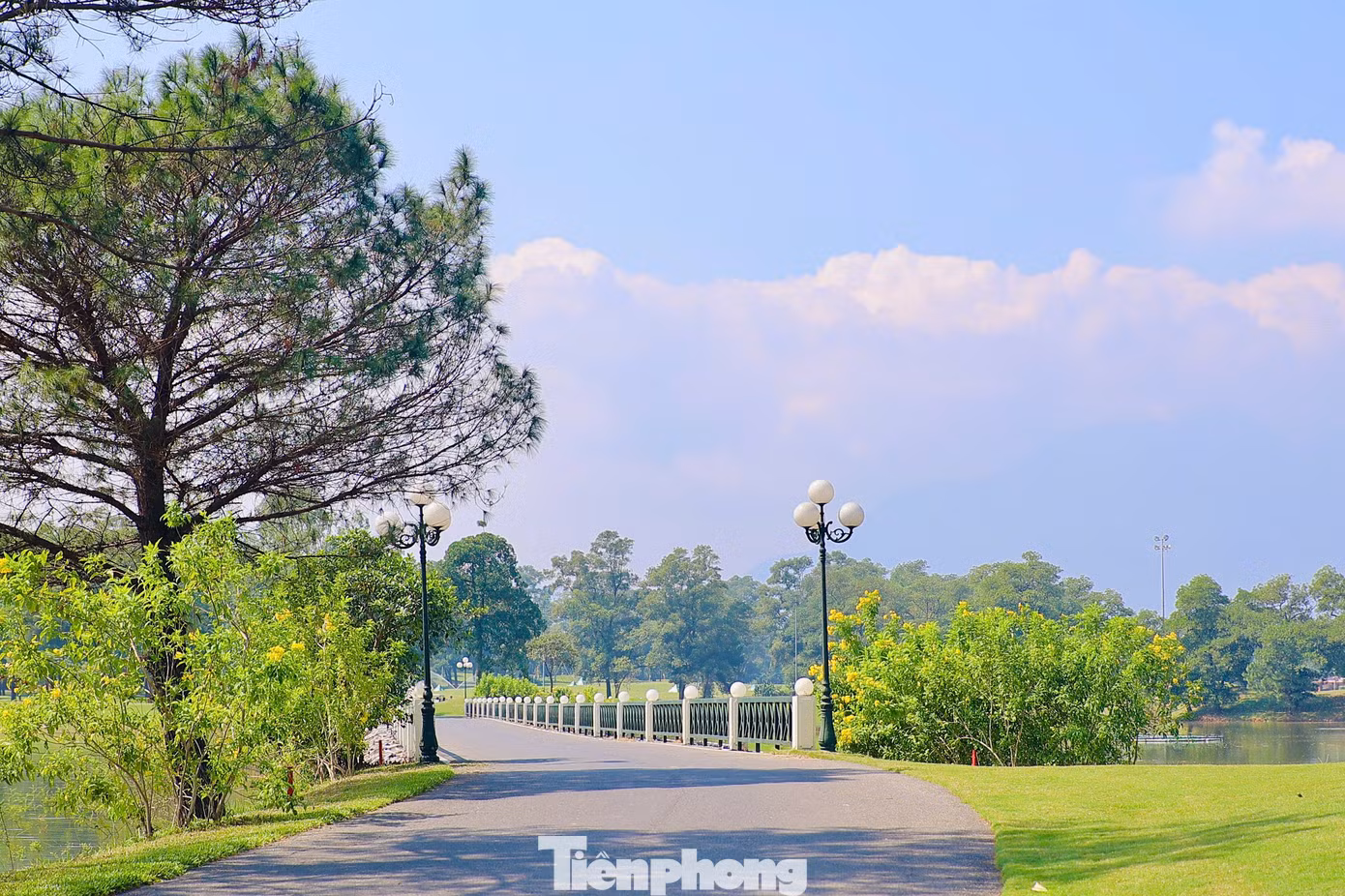 Tiền Phong Golf Championship - Vì Tài năng trẻ Việt Nam luôn được tổ chức vào mùa thu, thời điểm đẹp nhất trong năm của sân Kings Course thuộc BRG Kings' Island Golf Resort (Đồng Mô, Sơn Tây, Hà Nội).