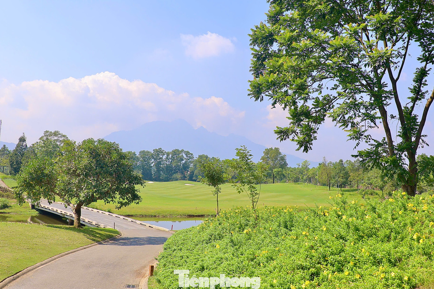 Ở mùa thứ 8 năm 2024 với 160 golfer tham gia tranh tài, giải chính thức khai mạc lúc 11h15, các golfer bắt đầu xuất phát lúc 11h30 ngày 2/11.