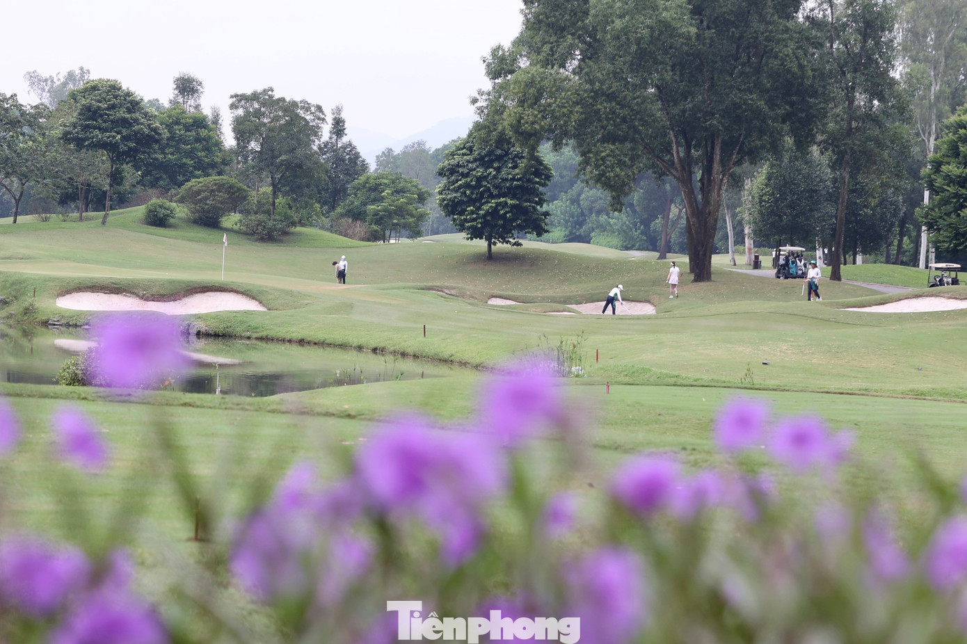 Không chỉ bẫy nước, các golfer còn phải tìm cách tránh những bẫy cát dày được bố trí quanh green hẹp và dốc.