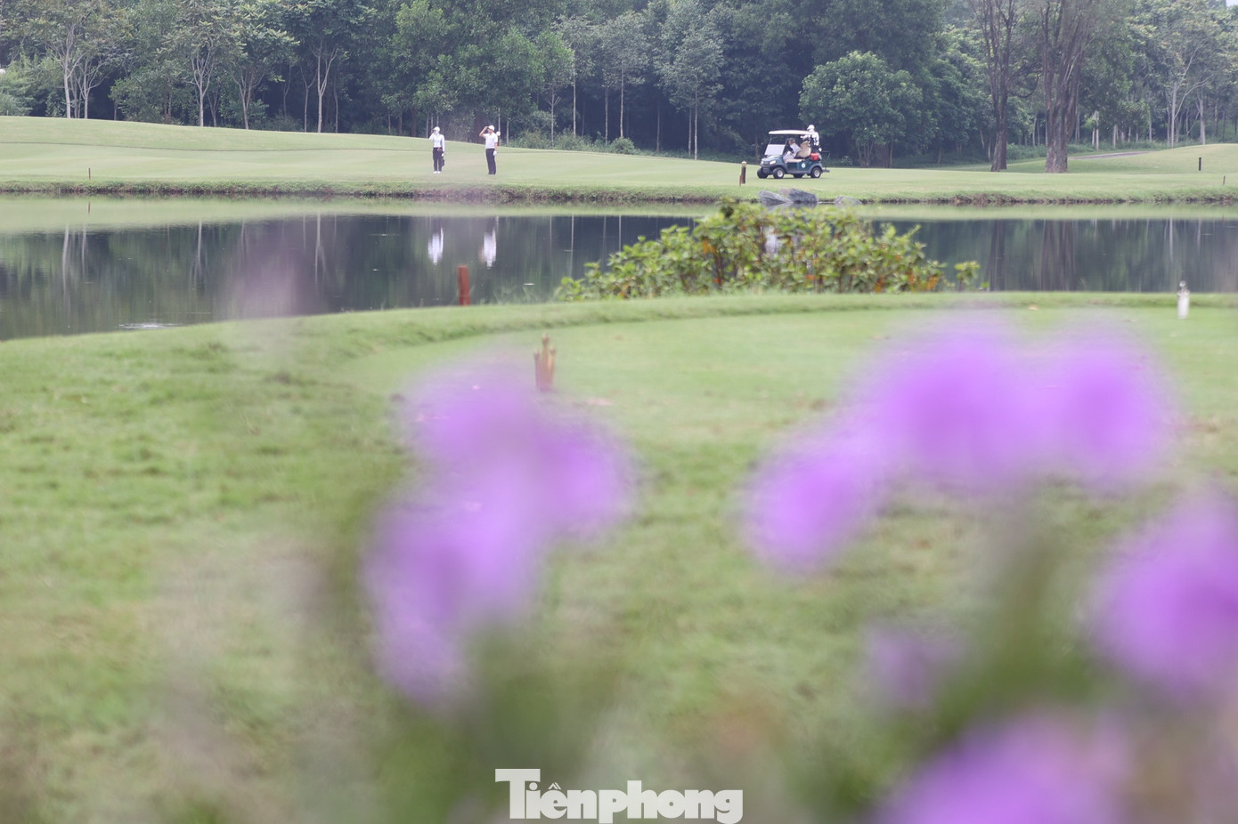 Không chỉ bẫy nước, các golfer còn phải tìm cách tránh những bẫy cát dày được bố trí quanh green hẹp và dốc.