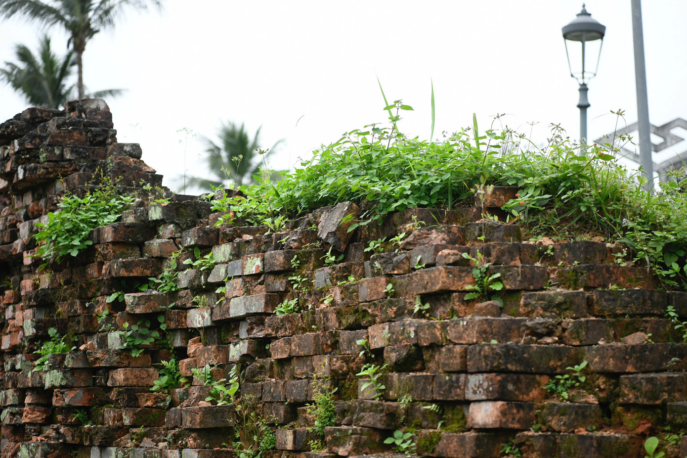 Cuối tháng 6/1972, địch mở cuộc phản kích với lực lượng mạnh nhất, kết hợp đủ loại bom, pháp, chất độc hóa học nhằm tái chiếm Quảng Trị. Chúng ném xuống Quảng Trị 320 nghìn tấn bom, tương đương sức công phá của 7 quả bom nguyên tử. Trong chiến dịch này, Thành cổ Quảng Trị trở thành thiên hùng ca sáng chói với 81 ngày đêm chiến đấu ác liệt, ngăn bước quân thù. Sự tàn phá của bom đạn khiến &quot;một viên gạch cũng không còn nguyên vẹn&quot;.