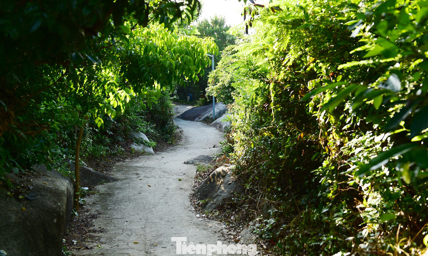 Để tới hải đăng Mũi Điện, bạn cần trải qua một chặng đường khoảng 20 phút đi bộ đầy kích thích, với hai bên rợp cây cối, hoa lá và cả tiếng chim. Dưới chân hải đăng có những trạm nghỉ để đón bình minh, bao gồm cột cờ và tấm bia đá granit màu đỏ, khắc dòng chữ: &quot;Mũi Điện (Mũi Đại Lãnh). Nơi đón ánh bình minh đầu tiên trên đất liền Việt Nam&quot;.