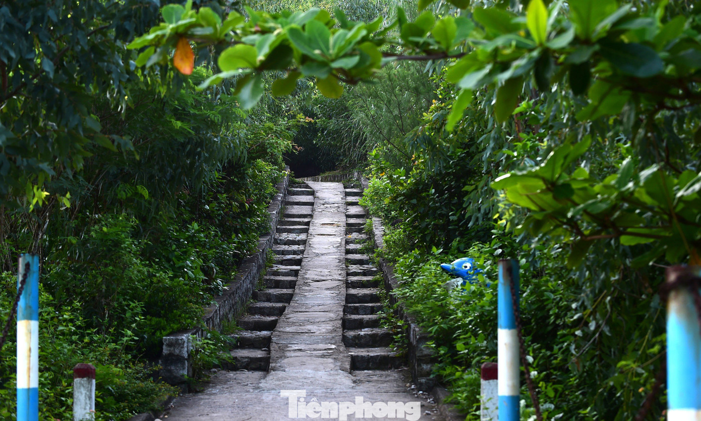 Để tới hải đăng Mũi Điện, bạn cần trải qua một chặng đường khoảng 20 phút đi bộ đầy kích thích, với hai bên rợp cây cối, hoa lá và cả tiếng chim. Dưới chân hải đăng có những trạm nghỉ để đón bình minh, bao gồm cột cờ và tấm bia đá granit màu đỏ, khắc dòng chữ: &quot;Mũi Điện (Mũi Đại Lãnh). Nơi đón ánh bình minh đầu tiên trên đất liền Việt Nam&quot;.