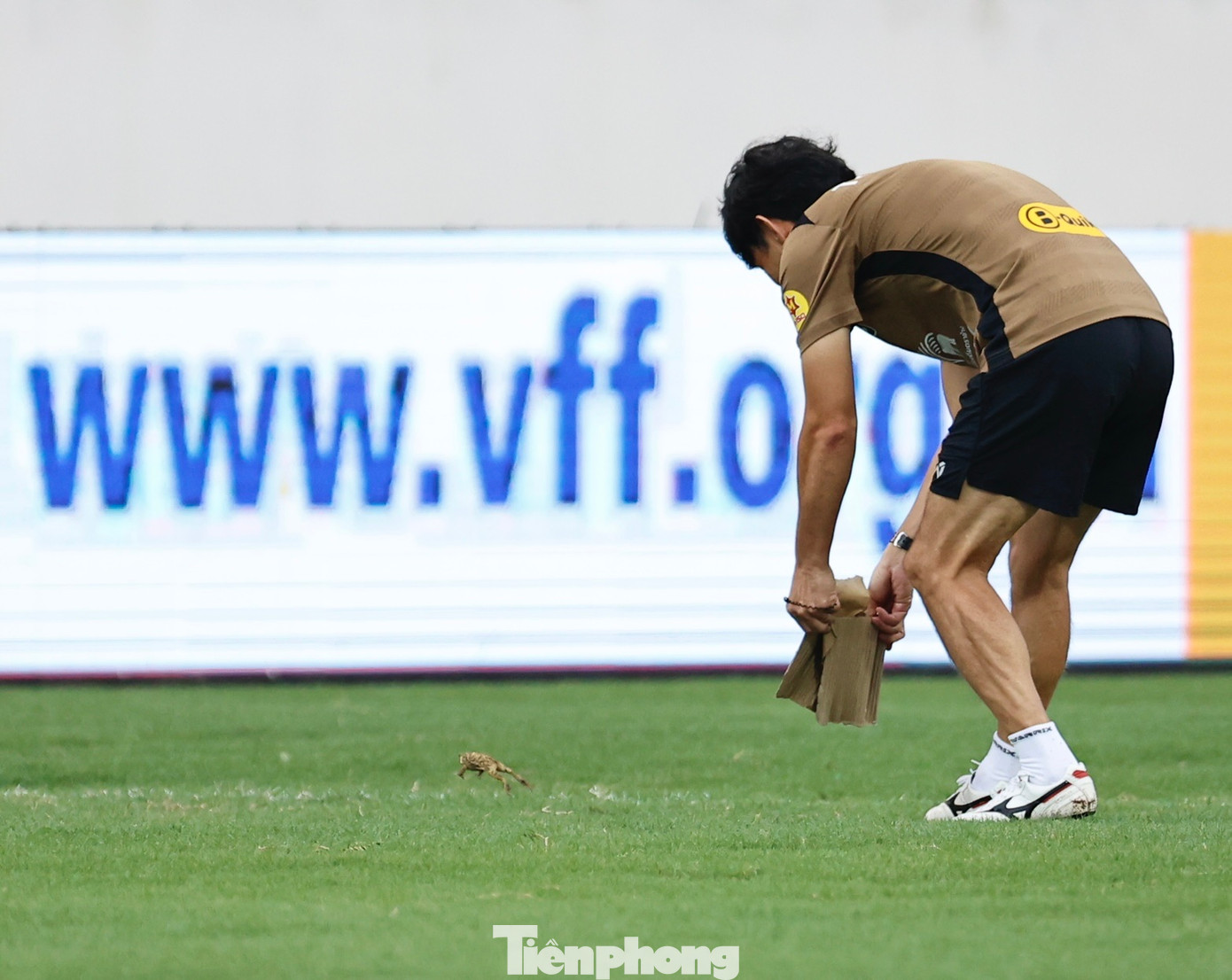 Duy nhất một khoảnh khắc họ mất tập trung, khi một &quot;khách lạ&quot; bất ngờ xuất hiện khiến các cầu thủ né tránh. Phát hiện đó chỉ là chú ếch, tất cả cười vang vui vẻ, trước khi HLV Ishii tìm cách xua đuổi vị khách không mời này ra khỏi sân tập.