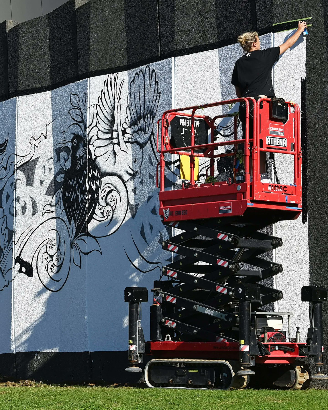 Wilkinson thực hiện tác phẩm tại sân vận động quốc gia Eden Park.