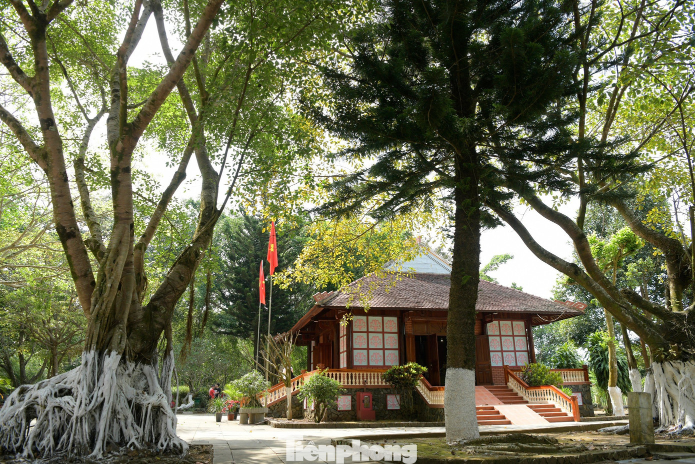 Ban đầu Nhà thờ Bác Hồ Phú Yên được xây dựng bằng các vật liệu sẵn có như mái tranh vách nứa. Trải qua nhiều lần tu sửa, đến năm 2003, Nhà thờ được xây dựng lại tại vị trí cũ, trong khuôn viên rộng hơn 5.000m vuông.