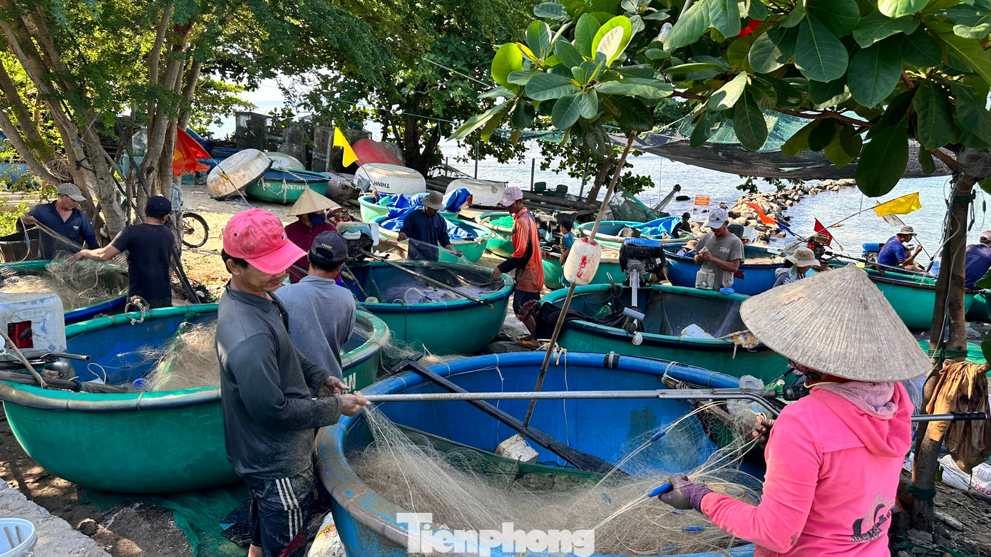 Trong khung cảnh rộn rã và đầy ắp tiếng cười, tất cả cùng nhau thu hoạch, sửa sang lại thuyền, sửa lại lưới, sẵn sàng cho buổi đánh bắt tiếp theo.