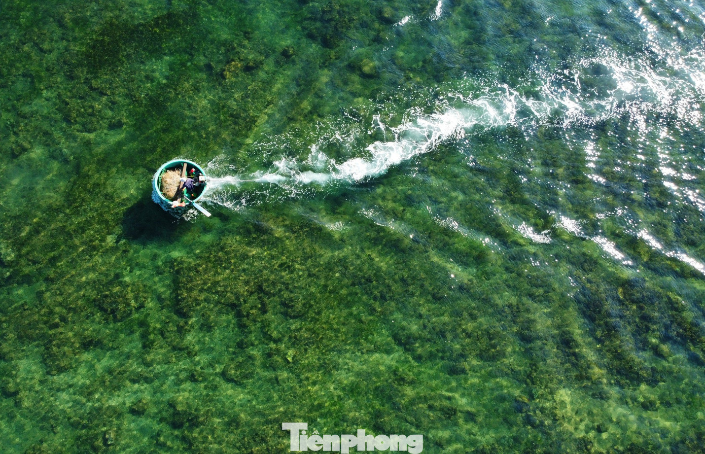 Những chiếc thuyền thúng rẽ sóng trên mặt biển trong xanh, nhìn thấu tầng lớp rêu phía dưới. Nếu đi xa hơn, dưới chân Hòn Yến, còn là những rặng san hô được đánh giá là một trong những rặng san hô hiếm ở Việt Nam.