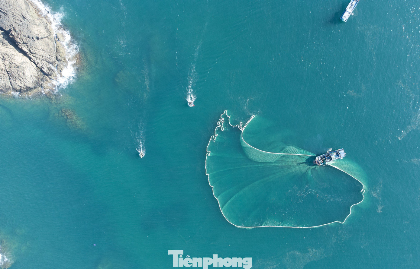 Mặc dù vậy, sản vật khác quanh Hòn Yến vẫn rất phong phú nuôi sống làng chài Nhơn Hội. Hòn Yến như một bức bình phong che chở cho ngư dân, đồng thời cũng là nơi trú ngụ của rất nhiều loại hải sản độc đáo và có giá trị cao.