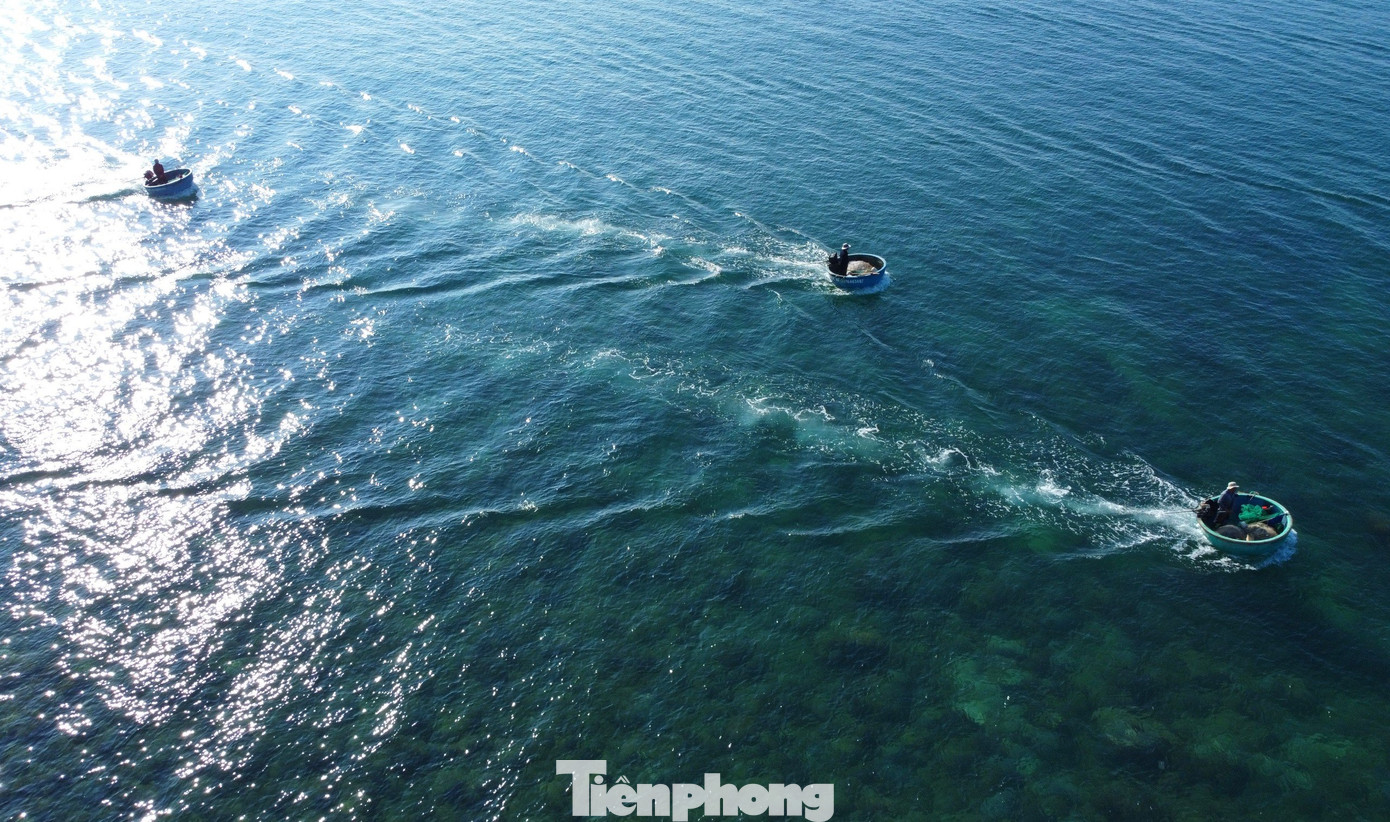 Nhiều người hẳn đã nghe bài &quot;Biển Phú Yên da diết gọi nhau về&quot;, nhưng chỉ đứng trước biển Phú Yên mới có thể cảm nhận hết câu hát &quot;Nếu chưa một lần anh đến Phú Yên/ Anh chưa hiểu thế nào là biển gọi/ Biển Phú Yên mặn mà hạt muối/ Và trong xanh, xanh đến vô cùng&quot;...