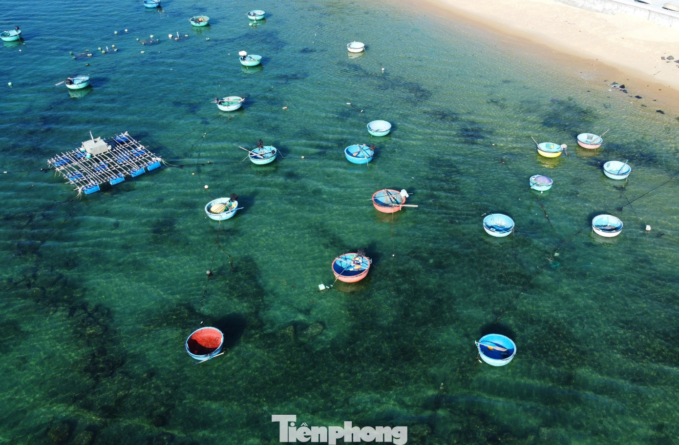 Những chiếc thuyền thúng rẽ sóng trên mặt biển trong xanh, nhìn thấu tầng lớp rêu phía dưới. Nếu đi xa hơn, dưới chân Hòn Yến, còn là những rặng san hô được đánh giá là một trong những rặng san hô hiếm ở Việt Nam.