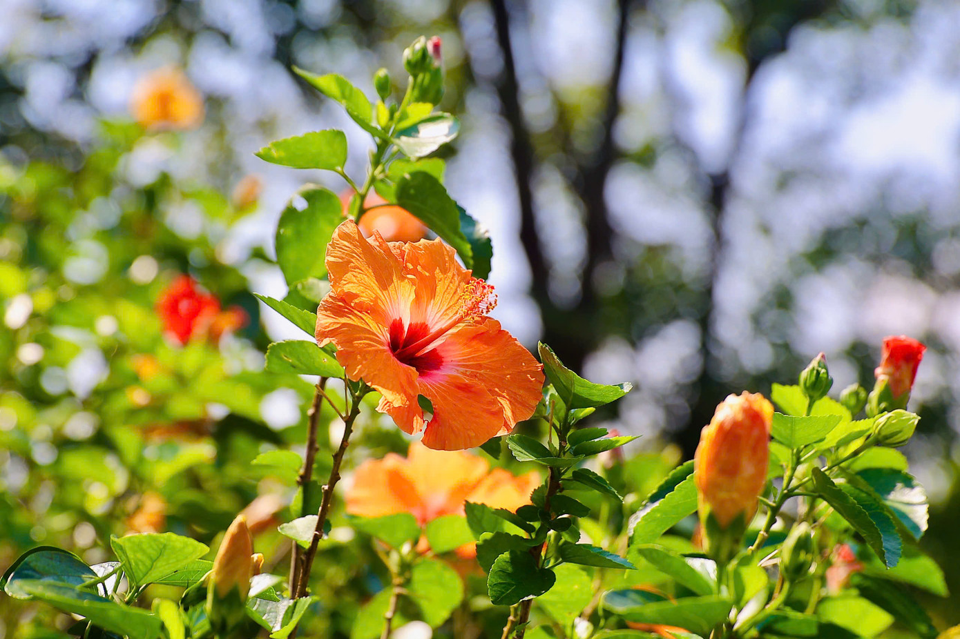 Với Tiền Phong Golf Championship, dù 8 năm tổ chức tại đây nhưng không hề có cảm giác nhàm chán. Mỗi một mùa giải là một trải nghiệm mới, với những thách thức mới.