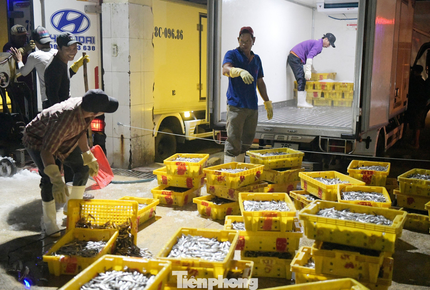 Nằm trong vùng biển đa dạng về hải sản với khoảng 500 loài cá, 38 loài tôm, 15 loài mực và nhiều loài hải sản đặc sản khác, như: sò, điệp... Phú Yên đã và đang triển khai nhiều giải pháp nhằm khai thác hợp lý tiềm năng, lợi thế, đồng thời xây dựng kế hoạch bảo vệ nguồn lợi, bảo tồn đa dạng sinh học ven biển.