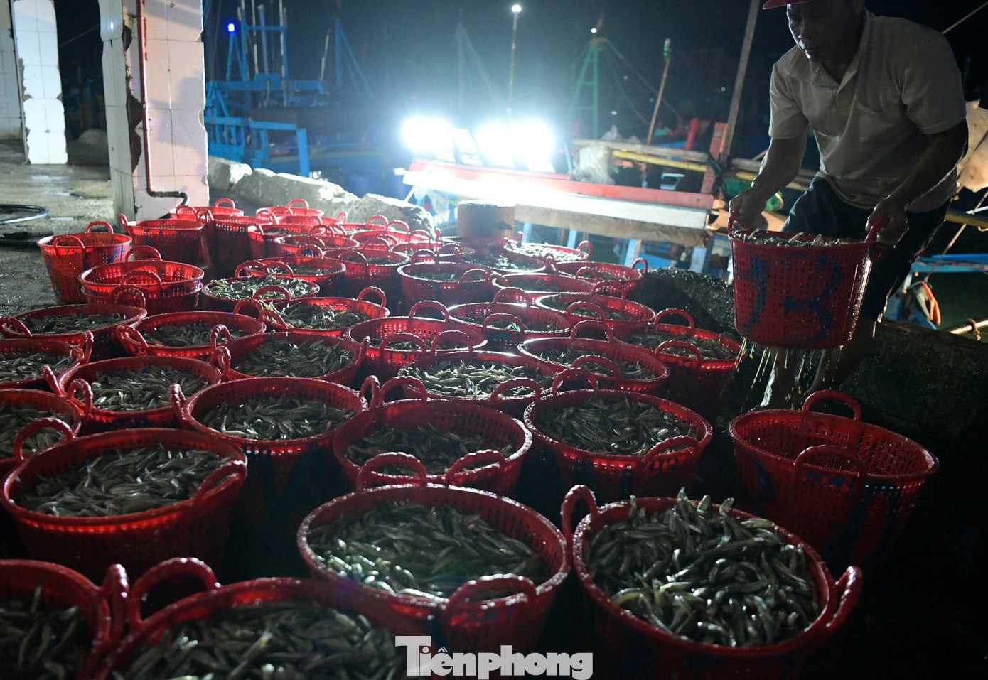 Thuyền cập cảng cá Phú Lạc lúc gần 10h tối. Tại đây là một bầu không khí nhộn nhịp. Bà con trên bờ làm việc luôn tay, tiếp nhận, phân loại thành quả thu được từ các chuyến tàu. Cảng cá Phú Lạc là công trình thuộc quy hoạch cảng cá, bến cá đến năm 2020, định hướng đến năm 2030 được Thủ tướng Chính phủ phê duyệt. Cảng cá Phú Lạc là một trong bốn cảng cá lớn của tỉnh Phú Yên được đưa vào sử dụng từ cuối tháng 8/2015 với tổng mức đầu tư gần 69 tỷ đồng. Sản lượng hải sản thông qua cảng 10.000 tấn/năm.