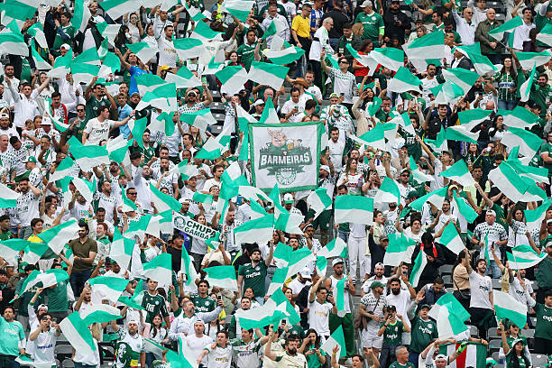 Porto nhọc nhằn cầm chân Palmeiras ảnh 14