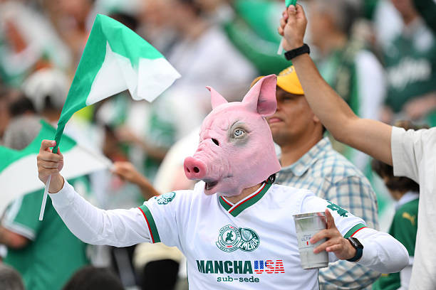 Porto nhọc nhằn cầm chân Palmeiras ảnh 13