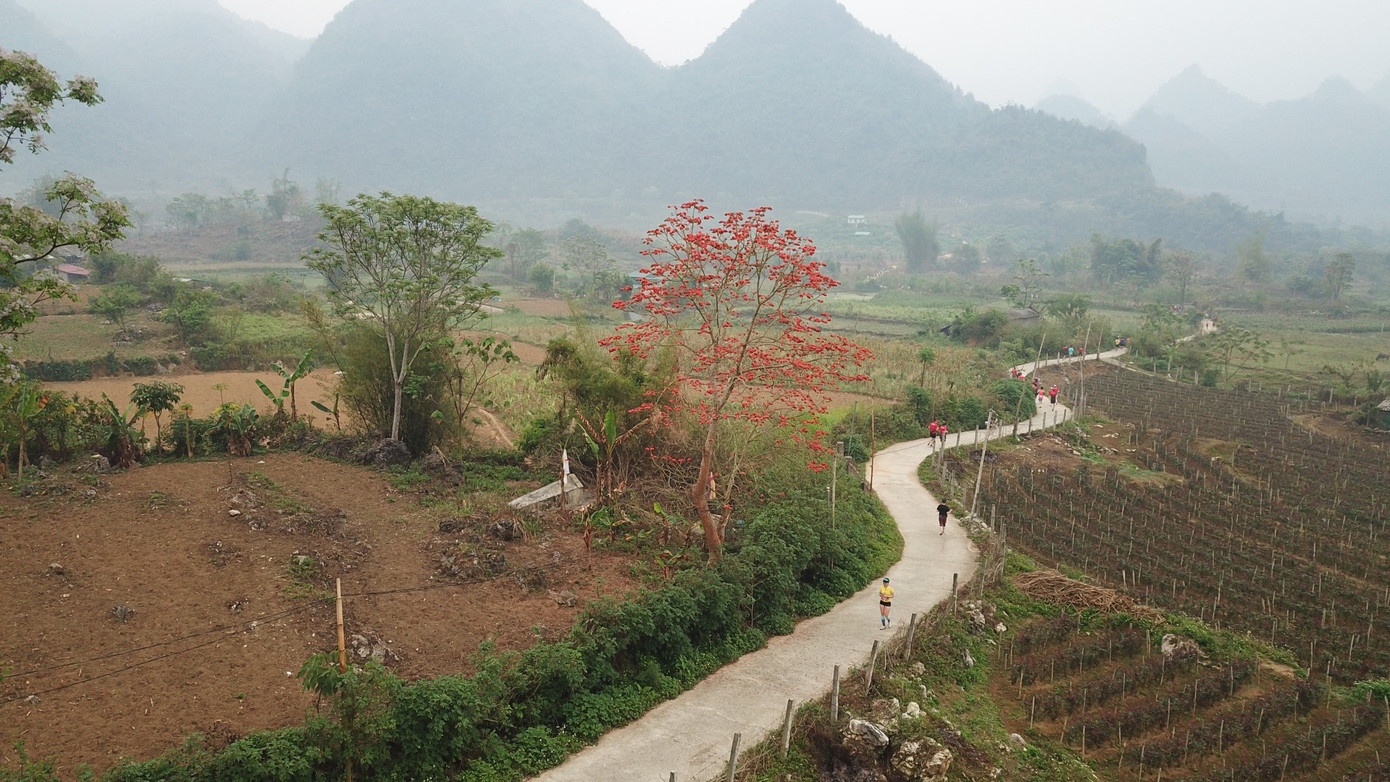 Hoa ban, hoa vông hay đỗ quyên... đã tạo nên một Lai Châu đa dạng sắc màu.