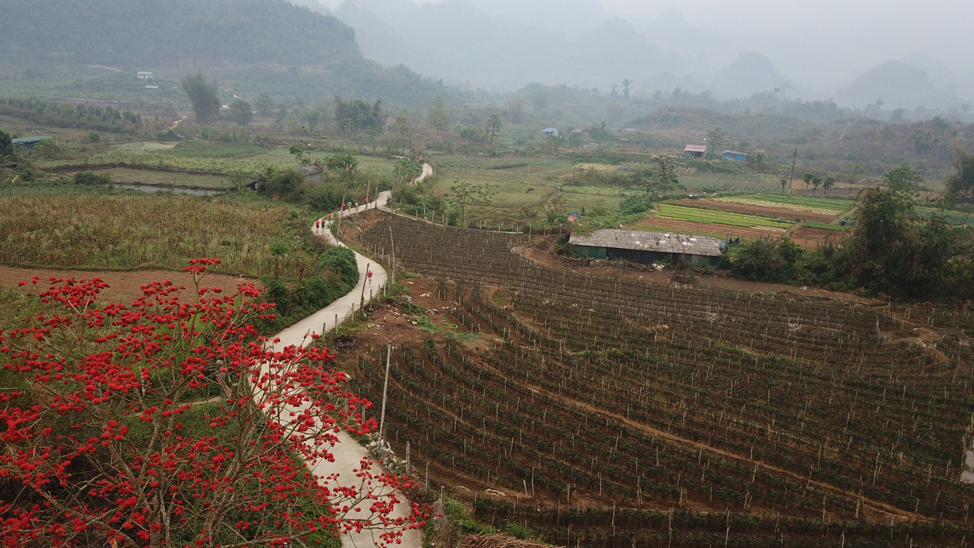 Núi non trập trùng, những thửa ruộng bậc thang nối tiếp và hoa lá muôn màu làm nên một bức tranh tuyệt đẹp.