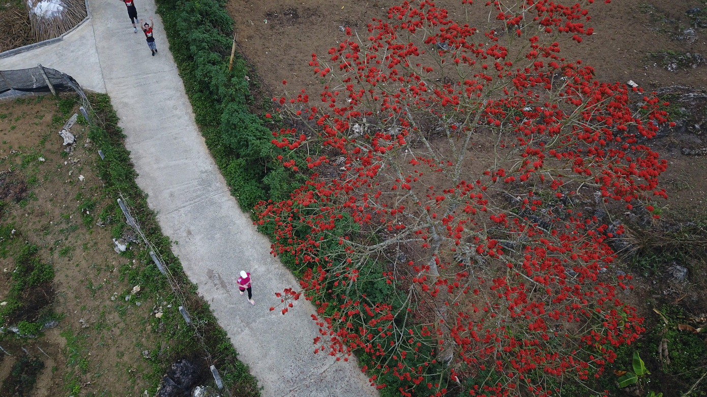 Lai Châu thực sự là một cung đường không thể nào quên trong hành trình Tiền Phong Marathon.