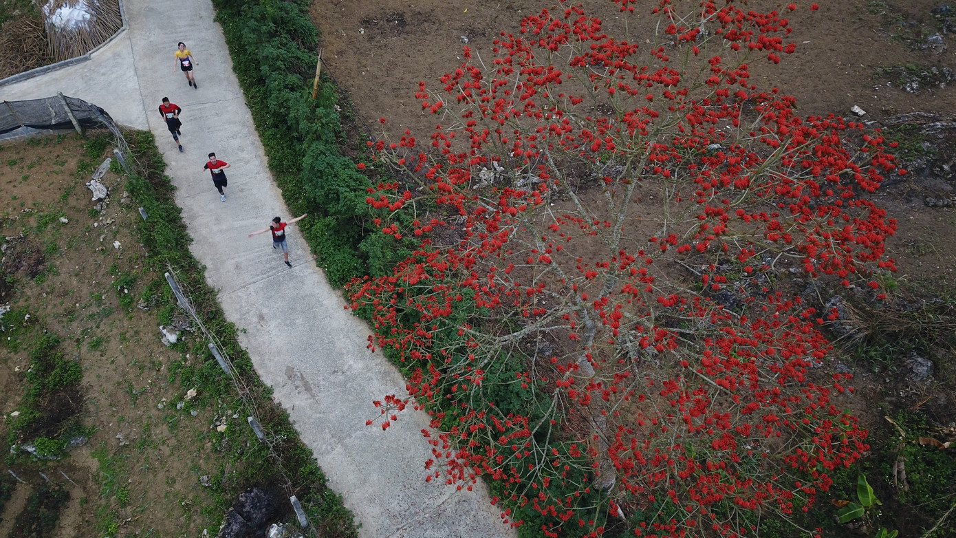 Những cung đường khiến mọi runner mê mẩn. (Ảnh: Dương Triều)