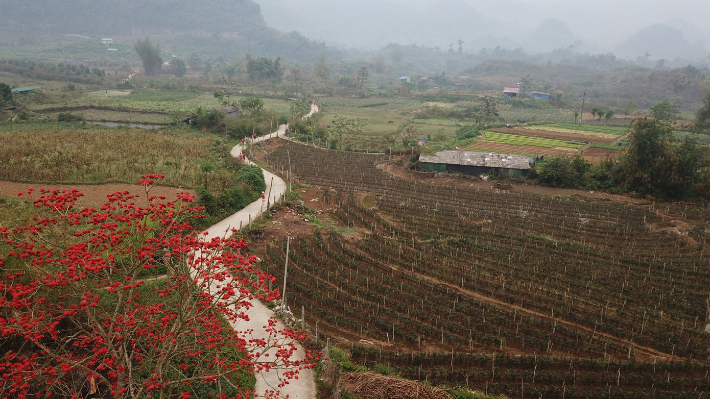 Lai Châu với thiên nhiên hùng vỹ đã mang lại sự phấn khích lớn cho các vận động viên dự Tiền Phong Marathon 2023.