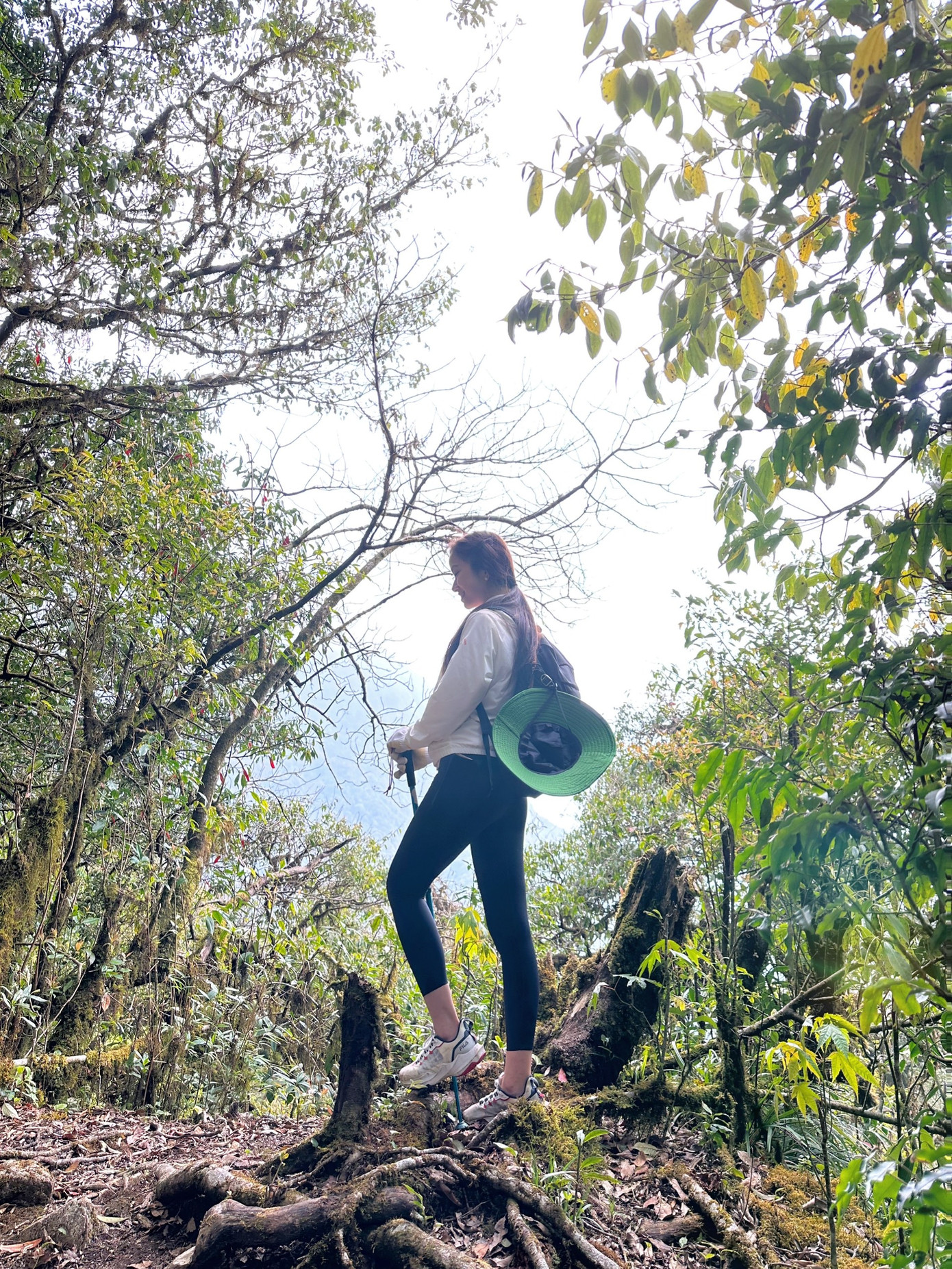 Tả Liên Sơn được gọi là "khu rừng cổ tích" bởi hệ sinh thái động thực vật phong phú.
