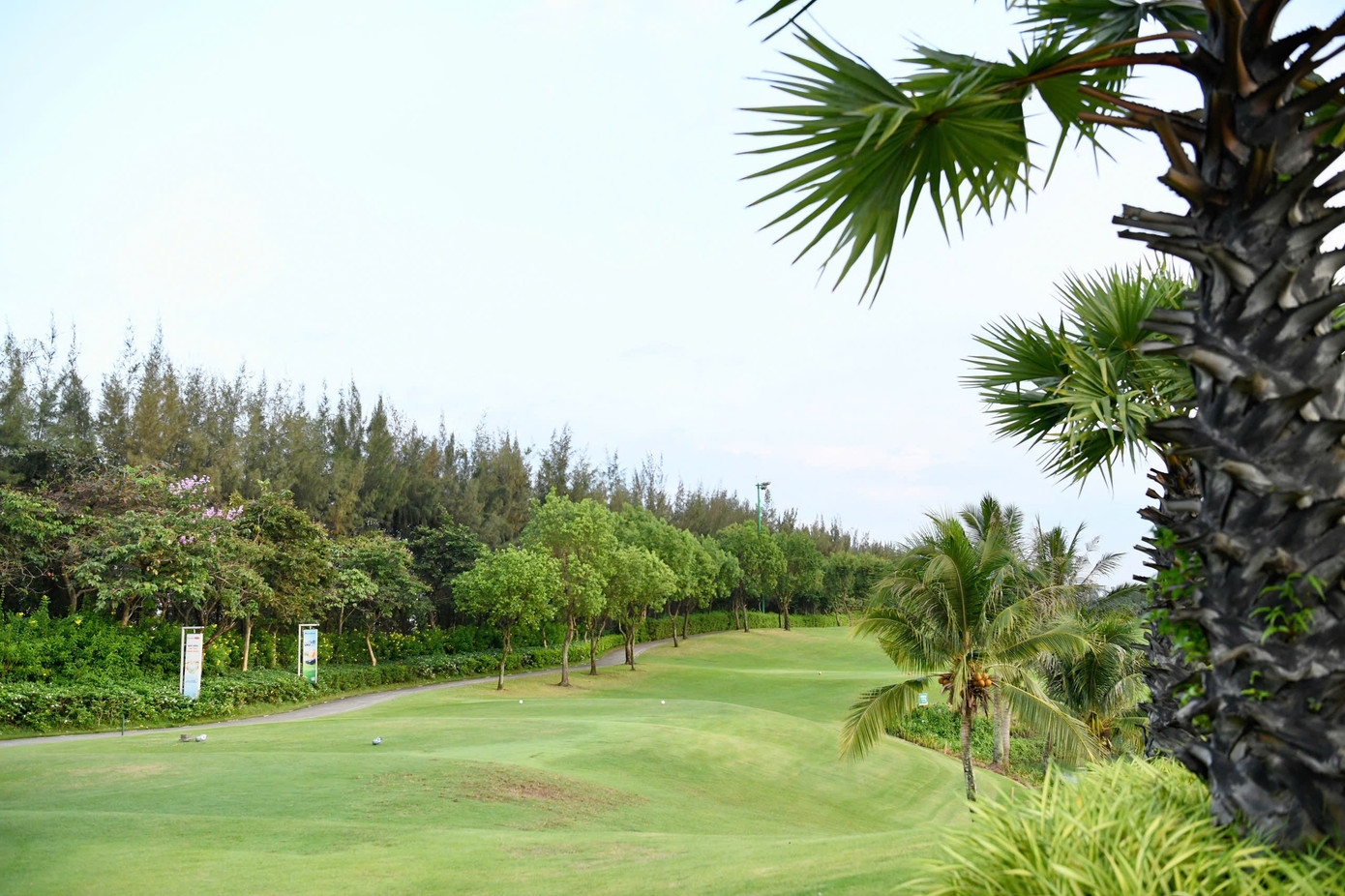 Đặc điểm nổi bật của sân golf Tân Sơn Nhất chính là các hố có khoảng cách dài, các bẫy cát bố trí hiểm hóc, sâu và sử dụng loại cát xốp, để nếu bóng rơi xuống sẽ rất chật vật mới có thể thoát ra. Một chi tiết ấn tượng khác chính là khung cảnh đầy thơ mộng, với màu xanh trải dài bởi cây cối và thảm cỏ.