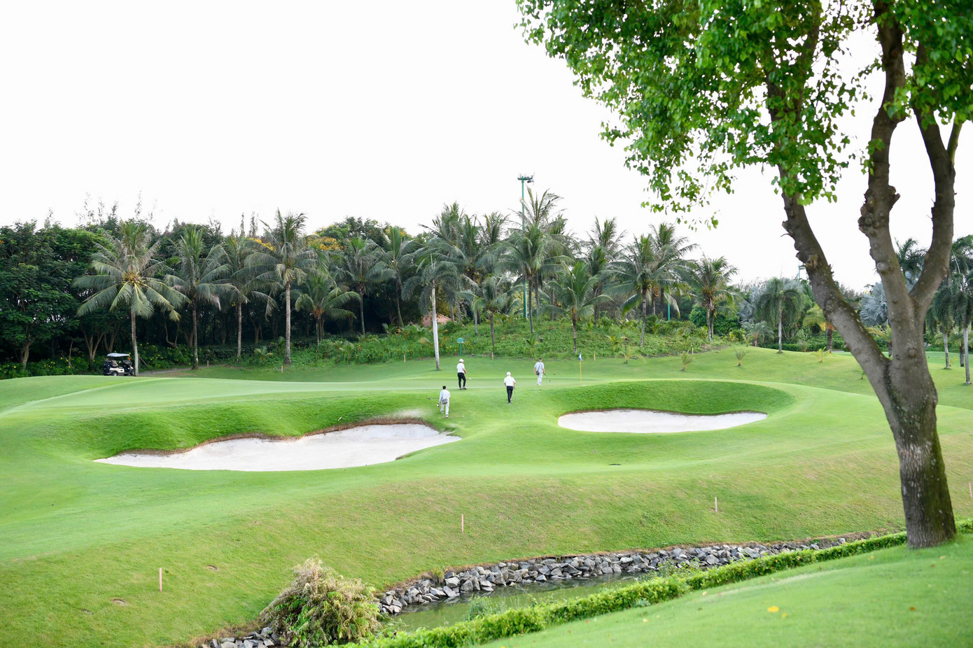 Đặc điểm nổi bật của sân golf Tân Sơn Nhất chính là các hố có khoảng cách dài, các bẫy cát bố trí hiểm hóc, sâu và sử dụng loại cát xốp, để nếu bóng rơi xuống sẽ rất chật vật mới có thể thoát ra. Một chi tiết ấn tượng khác chính là khung cảnh đầy thơ mộng, với màu xanh trải dài bởi cây cối và thảm cỏ.