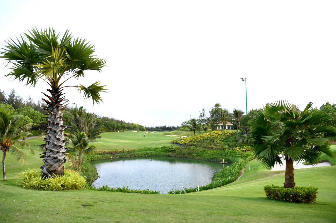 Đặc điểm nổi bật của sân golf Tân Sơn Nhất chính là các hố có khoảng cách dài, các bẫy cát bố trí hiểm hóc, sâu và sử dụng loại cát xốp, để nếu bóng rơi xuống sẽ rất chật vật mới có thể thoát ra. Một chi tiết ấn tượng khác chính là khung cảnh đầy thơ mộng, với màu xanh trải dài bởi cây cối và thảm cỏ.