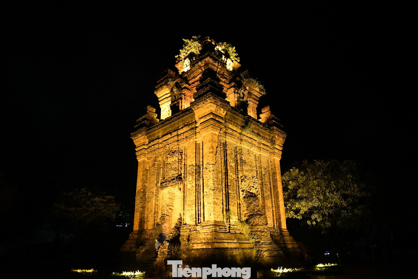 Là công trình kiến trúc nghệ thuật có giá trị lịch sử, trở thành biểu tượng văn hóa của tỉnh Phú Yên. Năm 1988, tháp Nhạn được công nhận là Di tích kiến trúc - nghệ thuật cấp quốc gia. Tháp có bốn mặt nhưng chỉ có một cửa vào duy nhất ở phía Đông, ba cửa còn lại đều bịt kín.